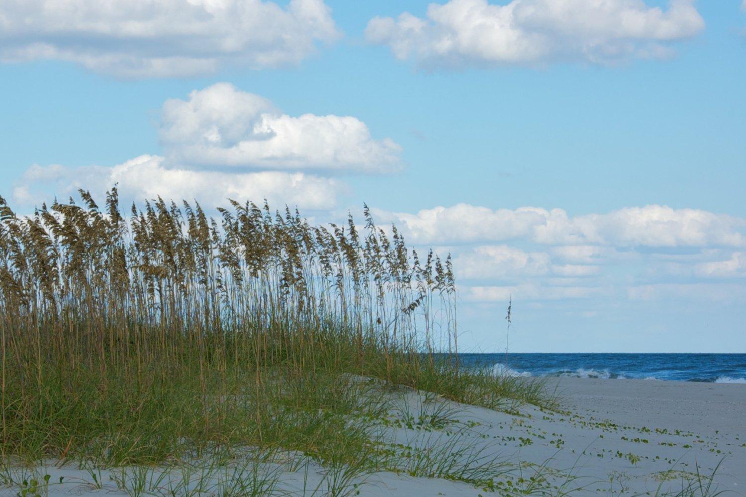 Sea Cabin On The Ocean - 146 Myrtle Beach Exterior foto